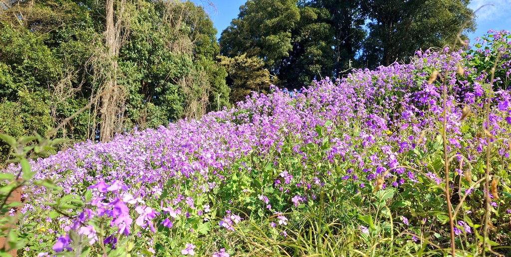 狂月おさむ tweet media