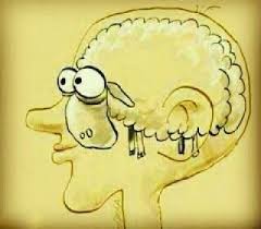 Dr.MeeEE tweet media