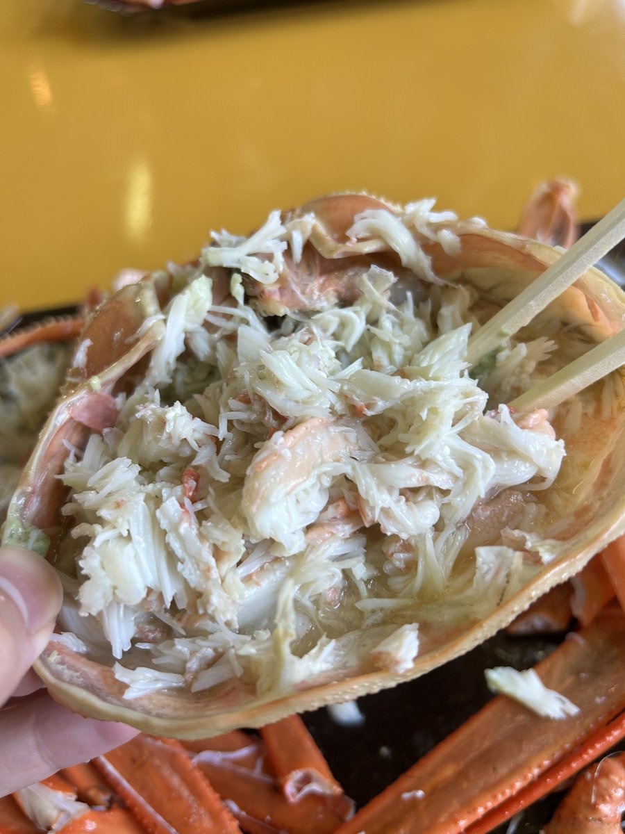 すっぽん tweet media