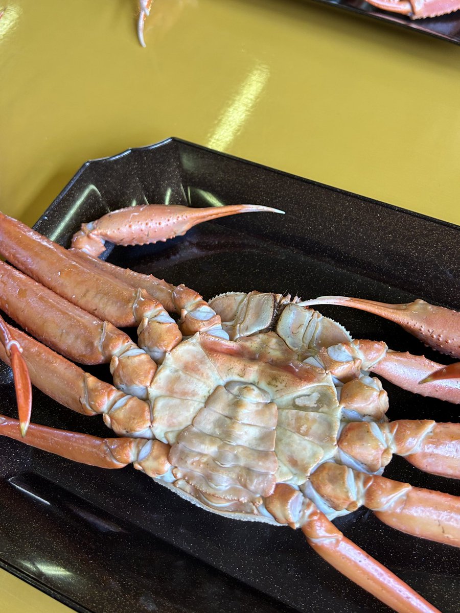 すっぽん tweet media