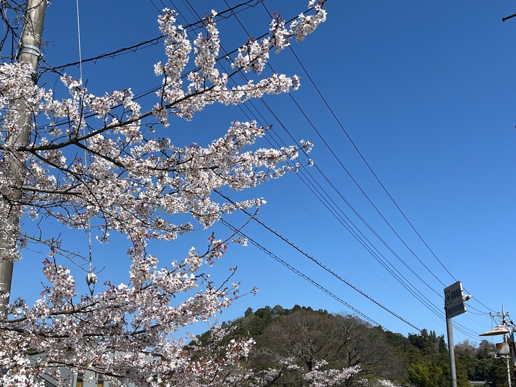 飯能市立博物館　きっとす tweet media