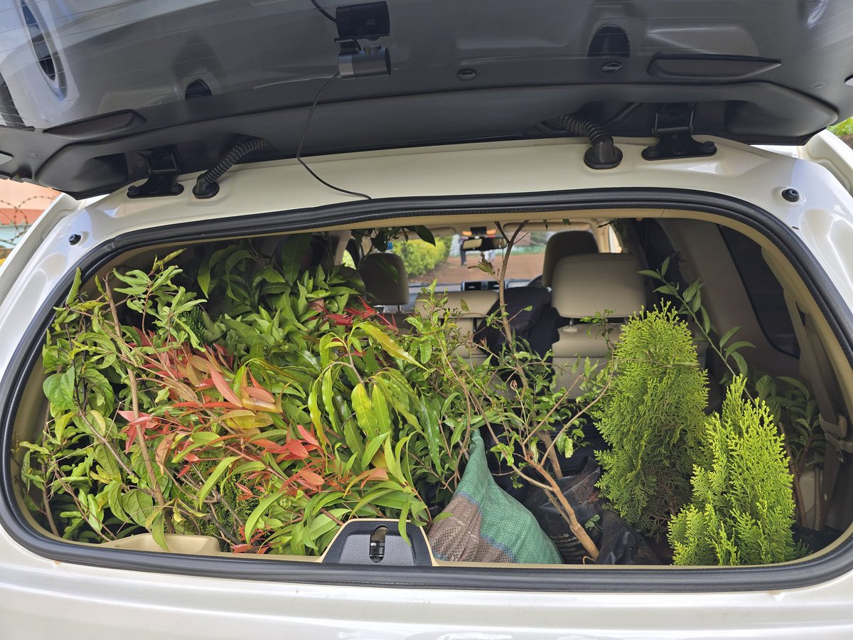 Abu Iman tweet media