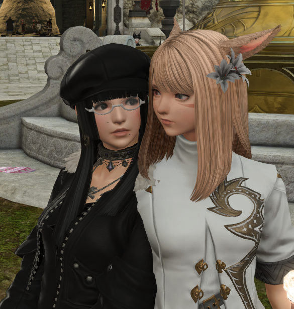 des 🐾 tweet media