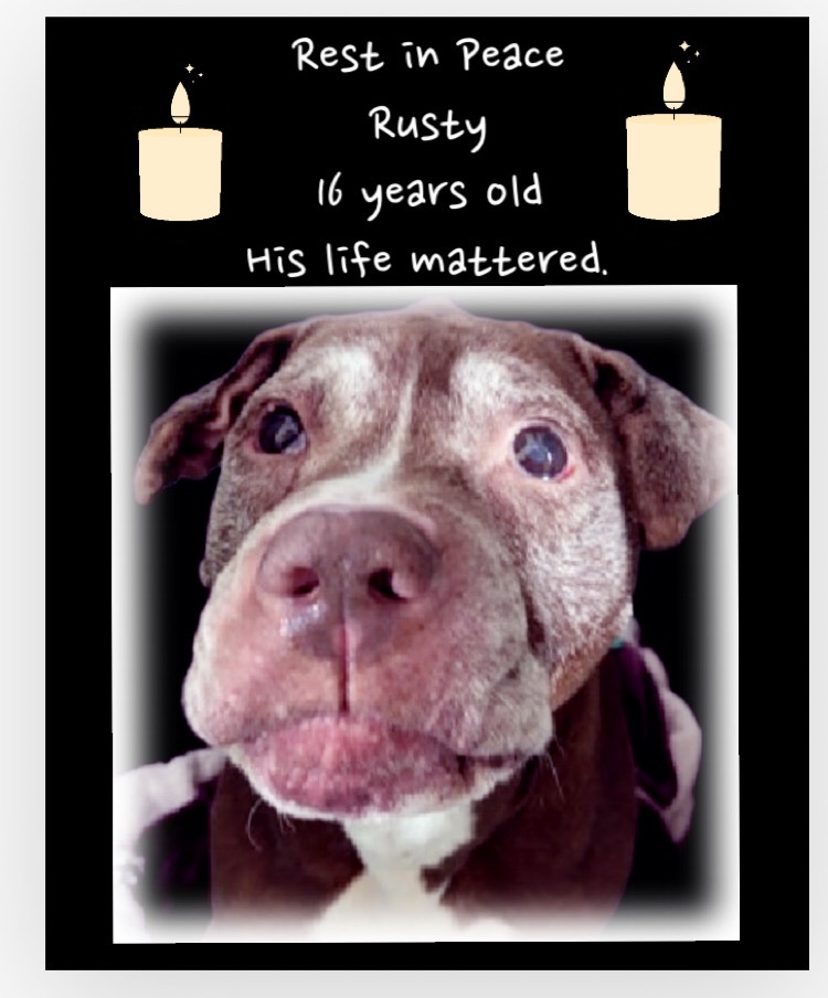 Kerri Reed tweet media