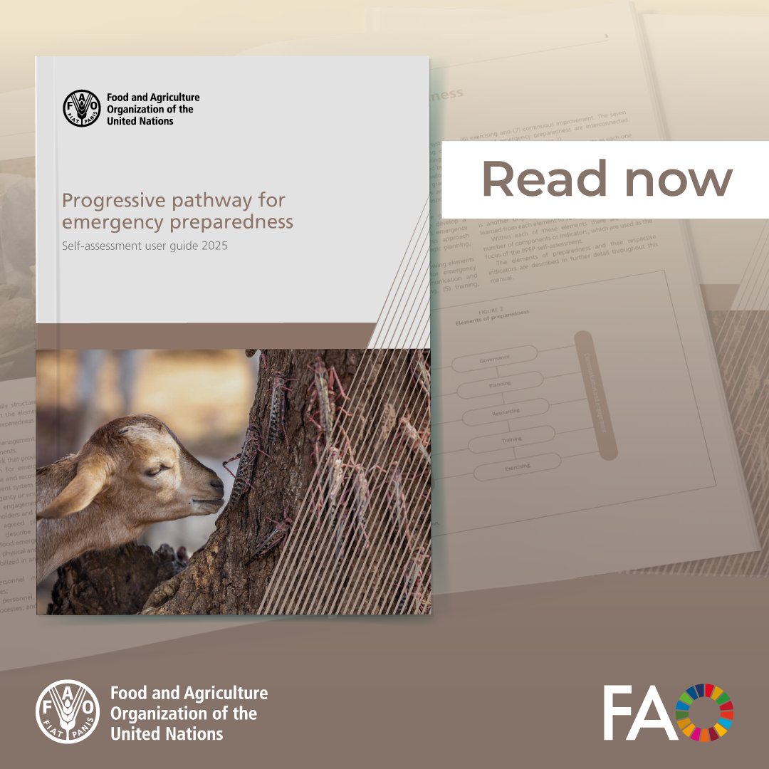 🛠️ Strengthening national preparedness starts with evidence.

The FAO Emergency Management Centre for Animal Health PPEP User Guide supports authorities to assess governance, planning &amp; more - building resilient emergency #animalhealth systems.

👉 bit.ly/4oWJAXJ
