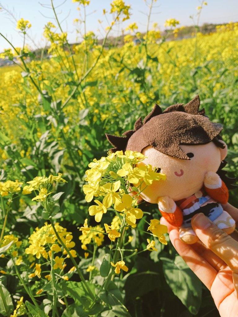 yumikiiro's tweet photo. 晴天のご近所お花見
絶好の日和でした

作業に戻ります https://t.co/brmyHWLMH0