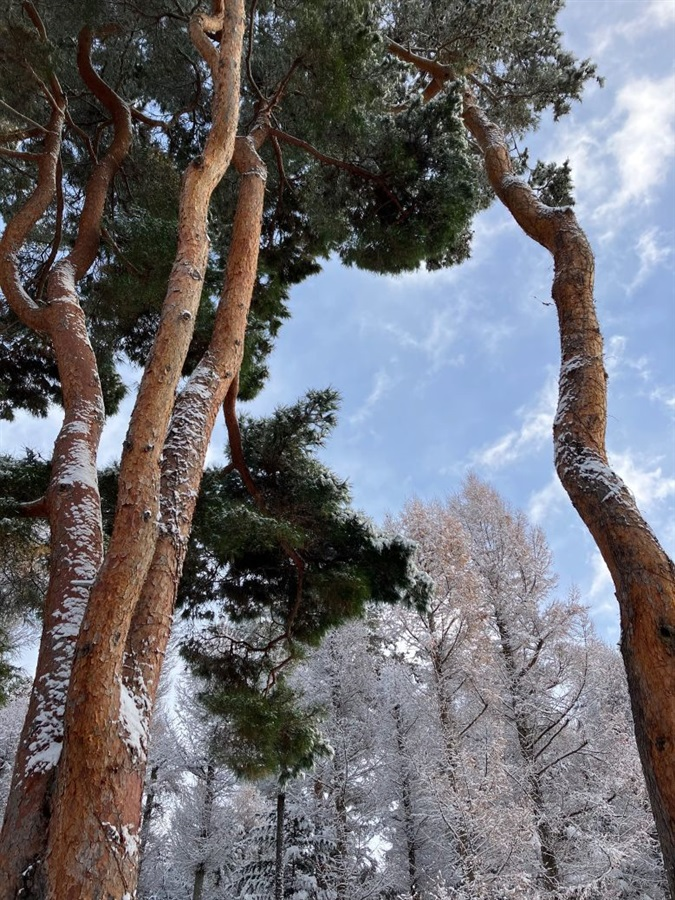 コミコミスタジオ tweet media