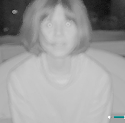 seapickle tweet media