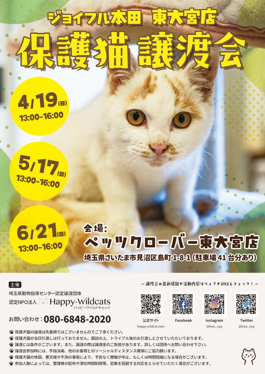 🐈 #保護猫譲渡会 🐾

ジョイフル本田ペッツクローバー東大宮店さまでの保護猫譲渡会の開催予定です🗓️

🕰️日時
4月19日（日）
5月17日（日）
6月21日（日）
いずれも13:00～16:00

🚩会場
埼玉県
ペッツクローバー 東大宮店さま

詳しくはHPへ
happy-wildcats.com/7398

#猫 #譲渡会