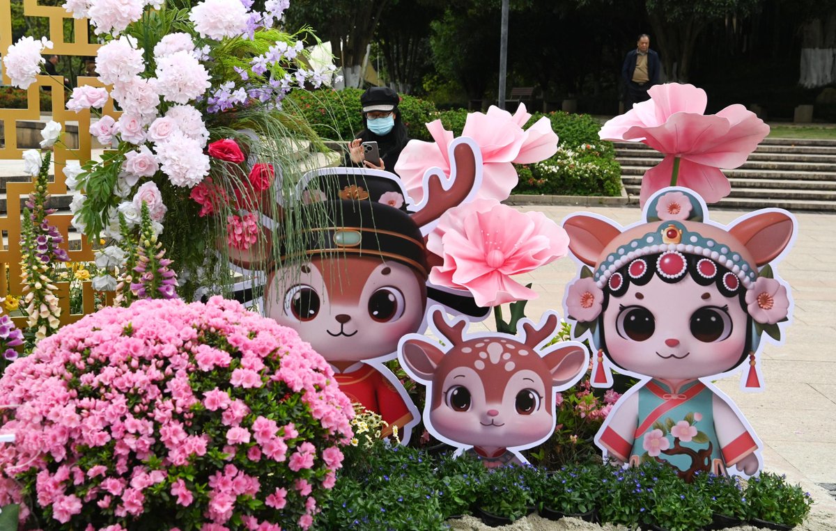 In Wenzhou tweet media