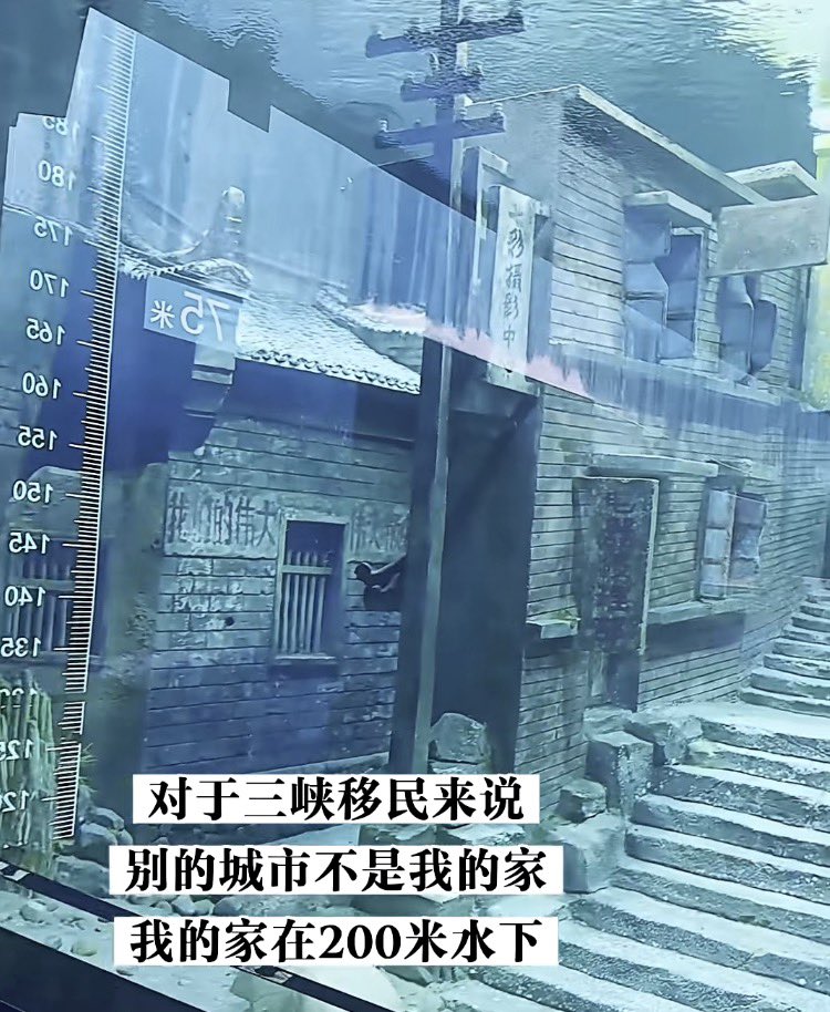 翅翅膀喵 tweet media