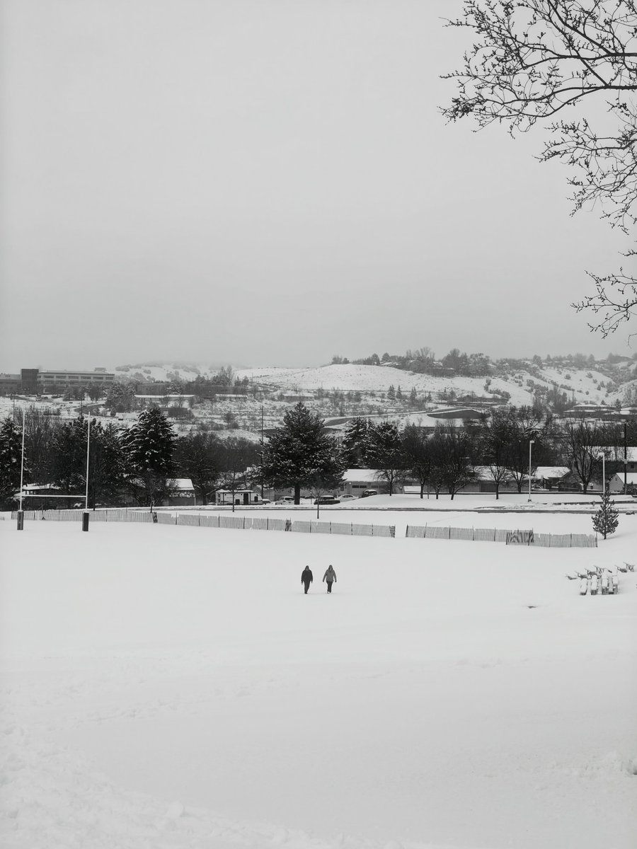 Fahim Al Mahmud Ashik tweet media