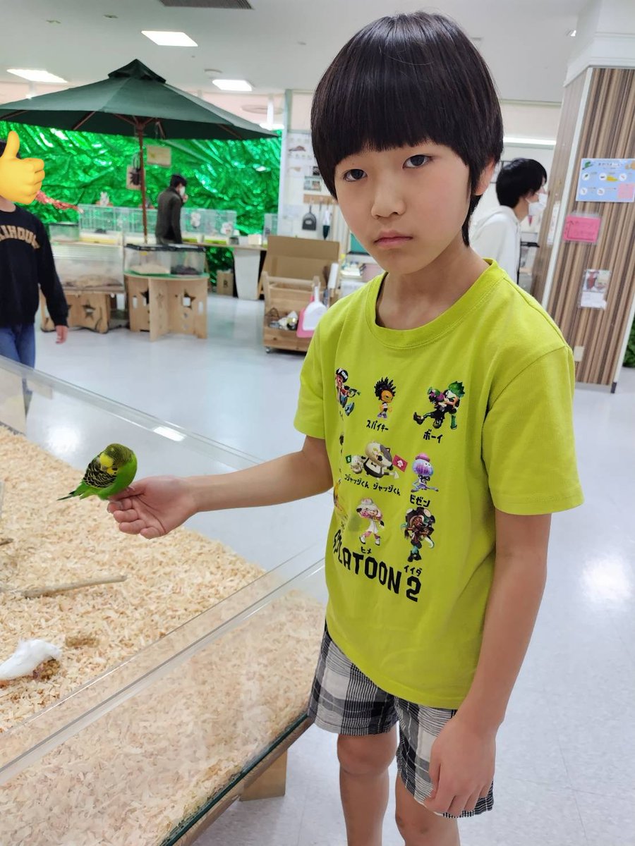 ゴシック@4/4.5アコスタ福岡‼️親子参加🎶 tweet media