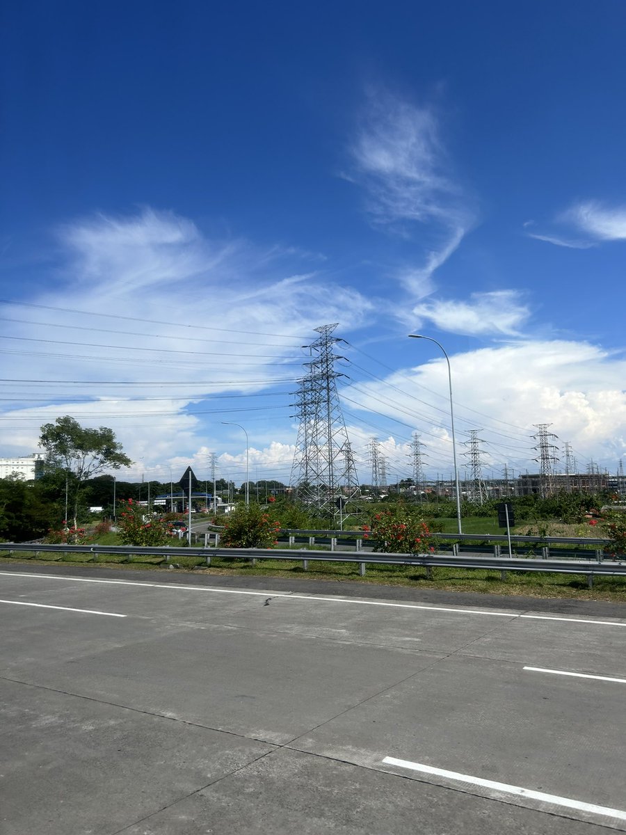 🐻🐻 tweet media