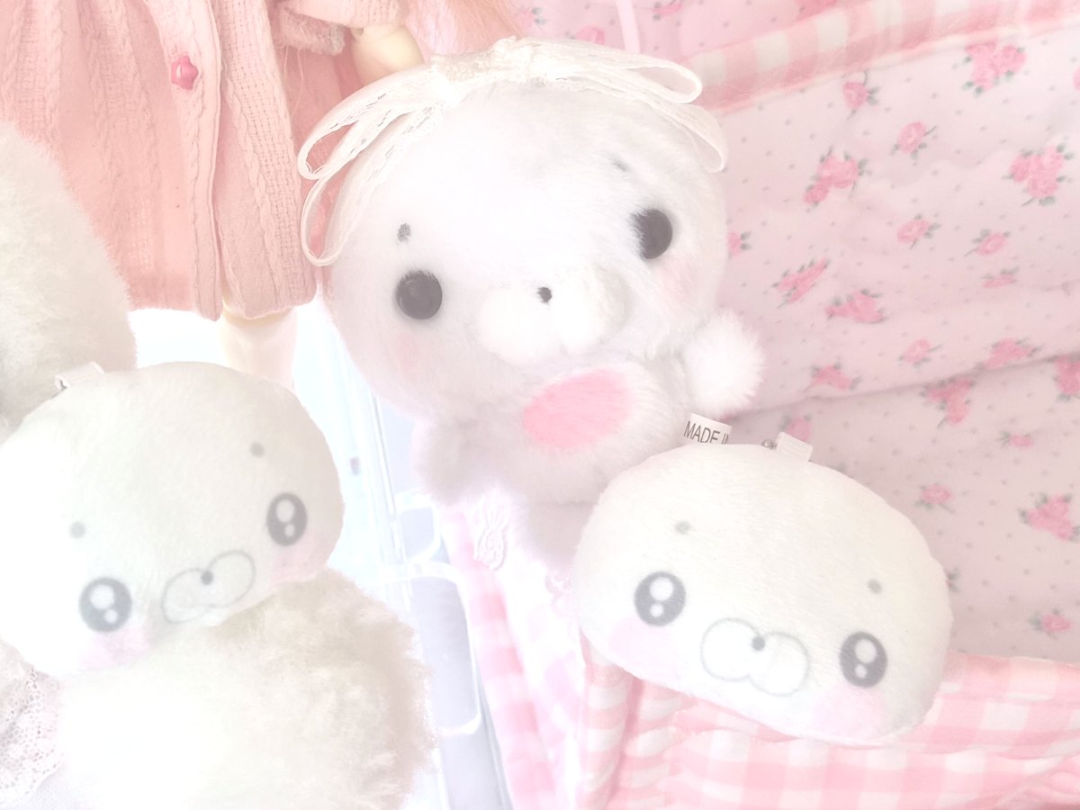 Angel love you_u tweet media