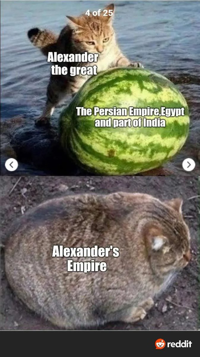 🏛️Aleksandros🏛️ tweet media