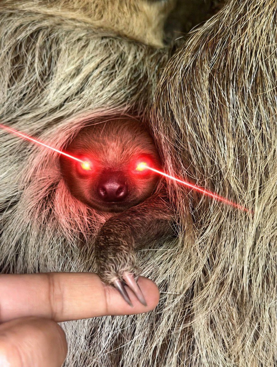 Fitim Osmanollaj | ⟠ | tweet media