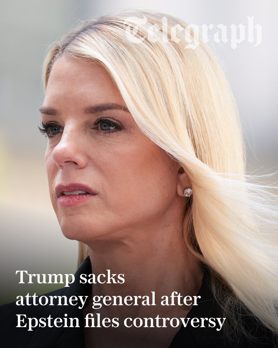 The Telegraph tweet media