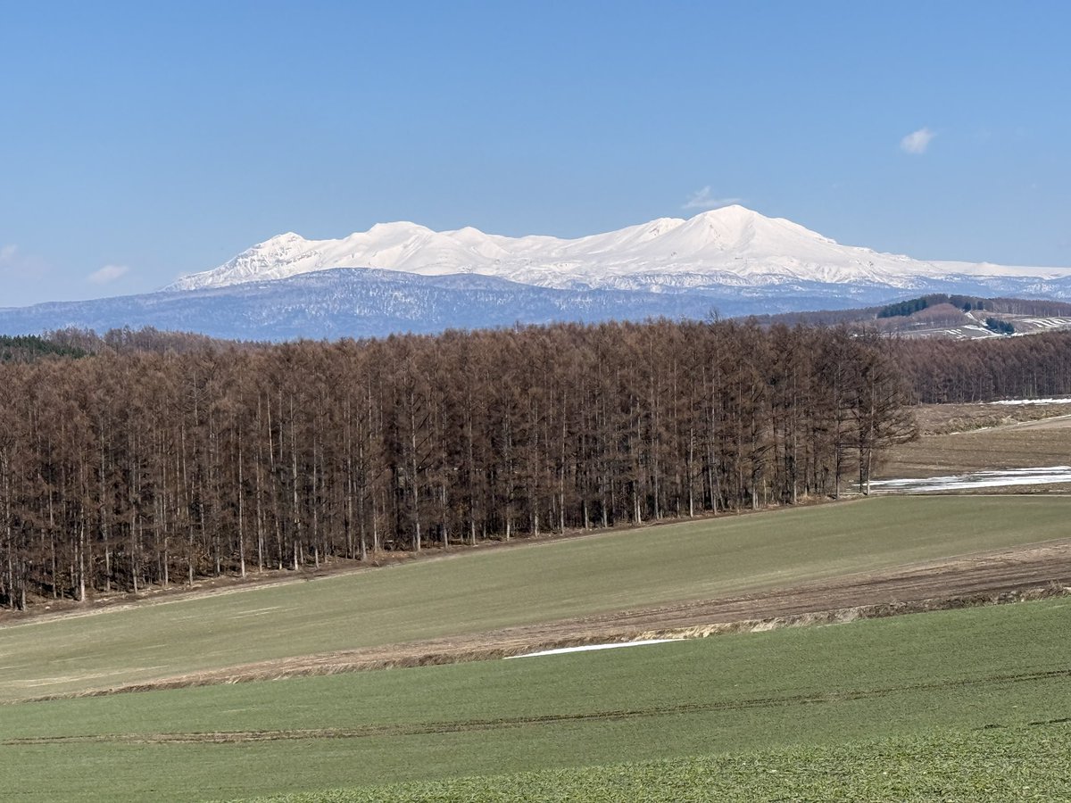 ういち tweet media