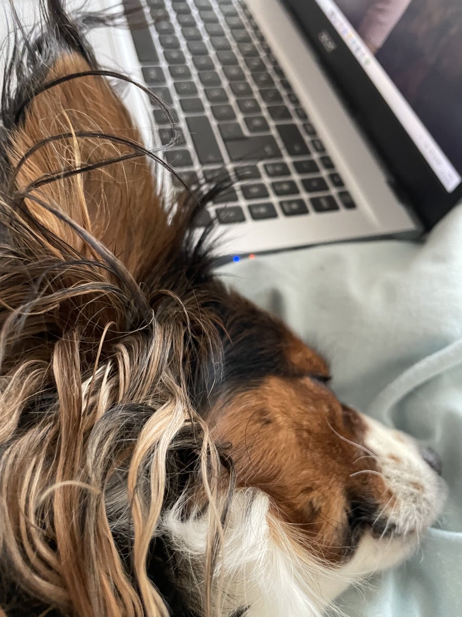 Patisiz olmaz tweet media