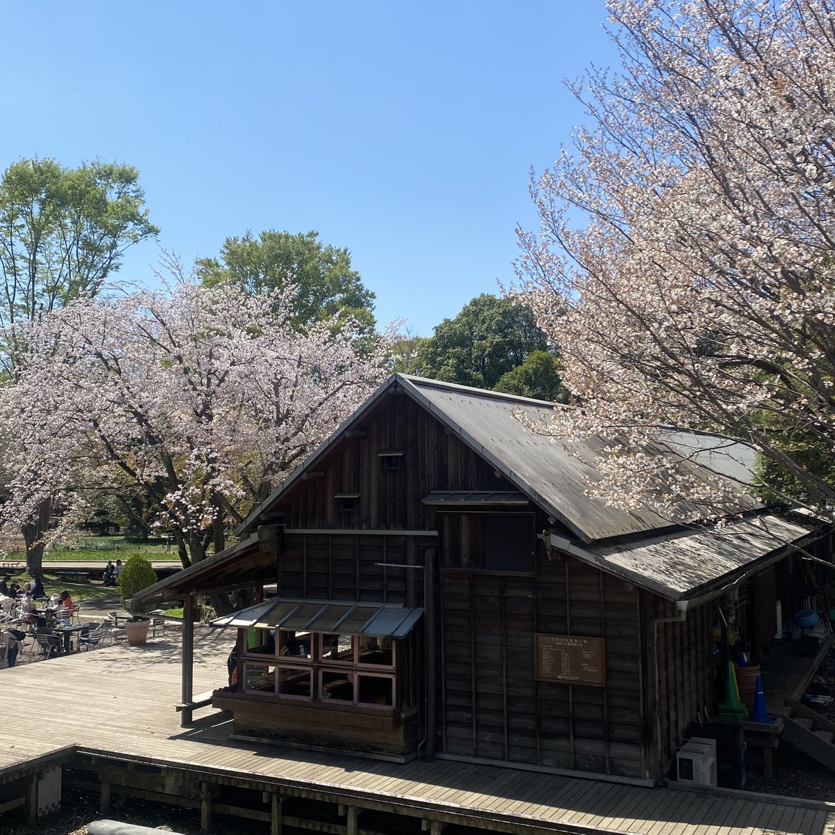 瑞獣姫デジタル最先端 tweet media