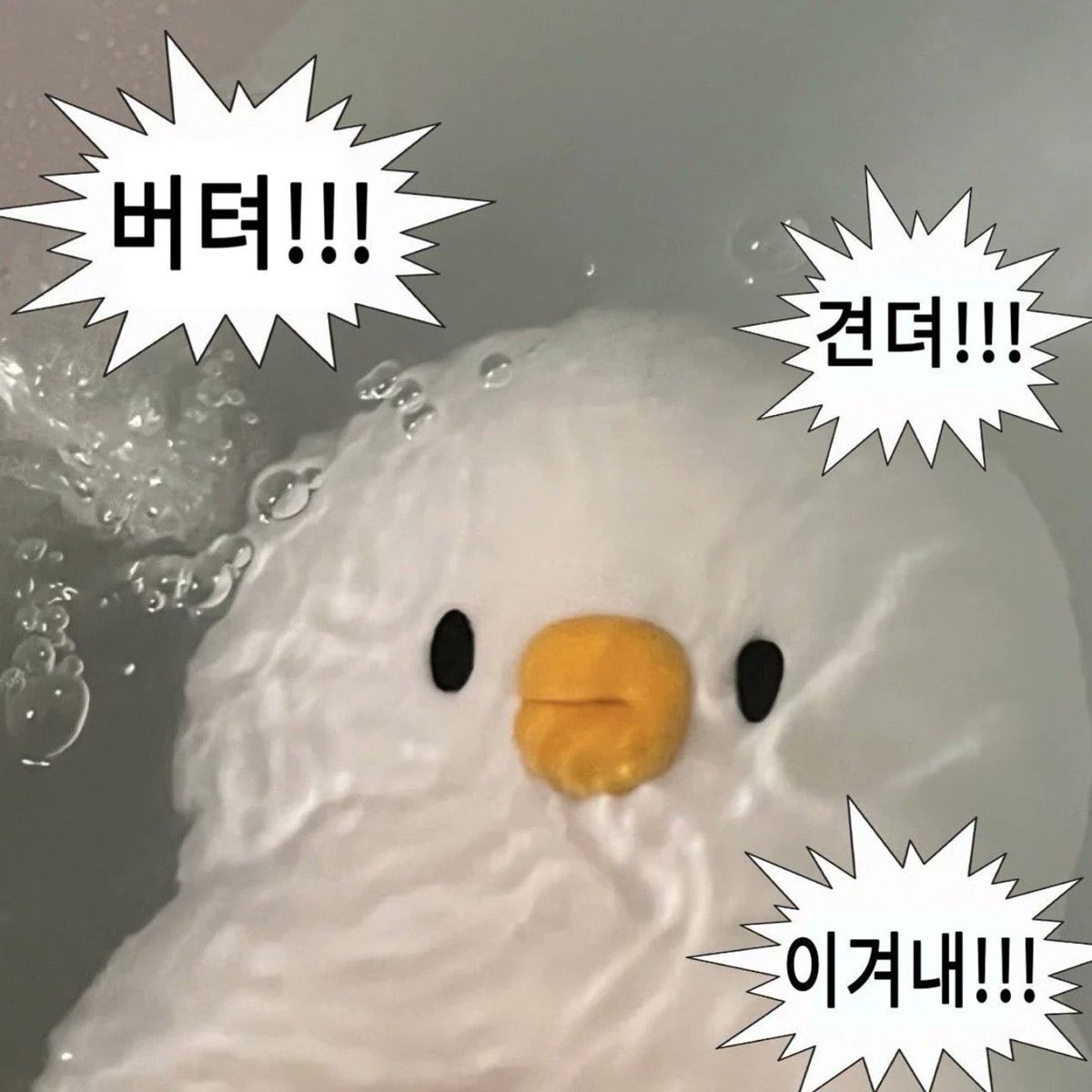 뜨개하는 개발자 부계 tweet media