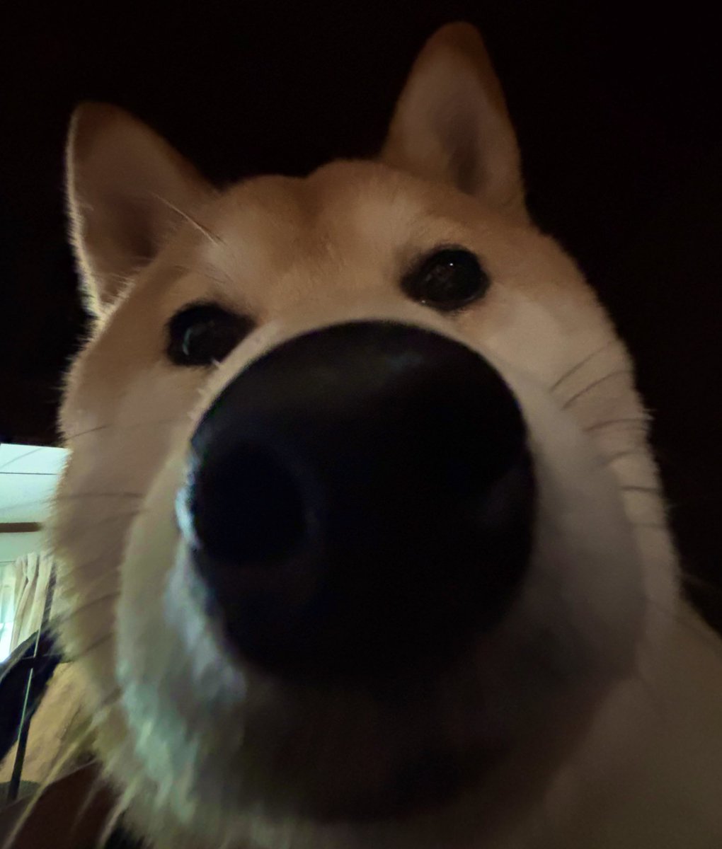 S K U L L tweet media