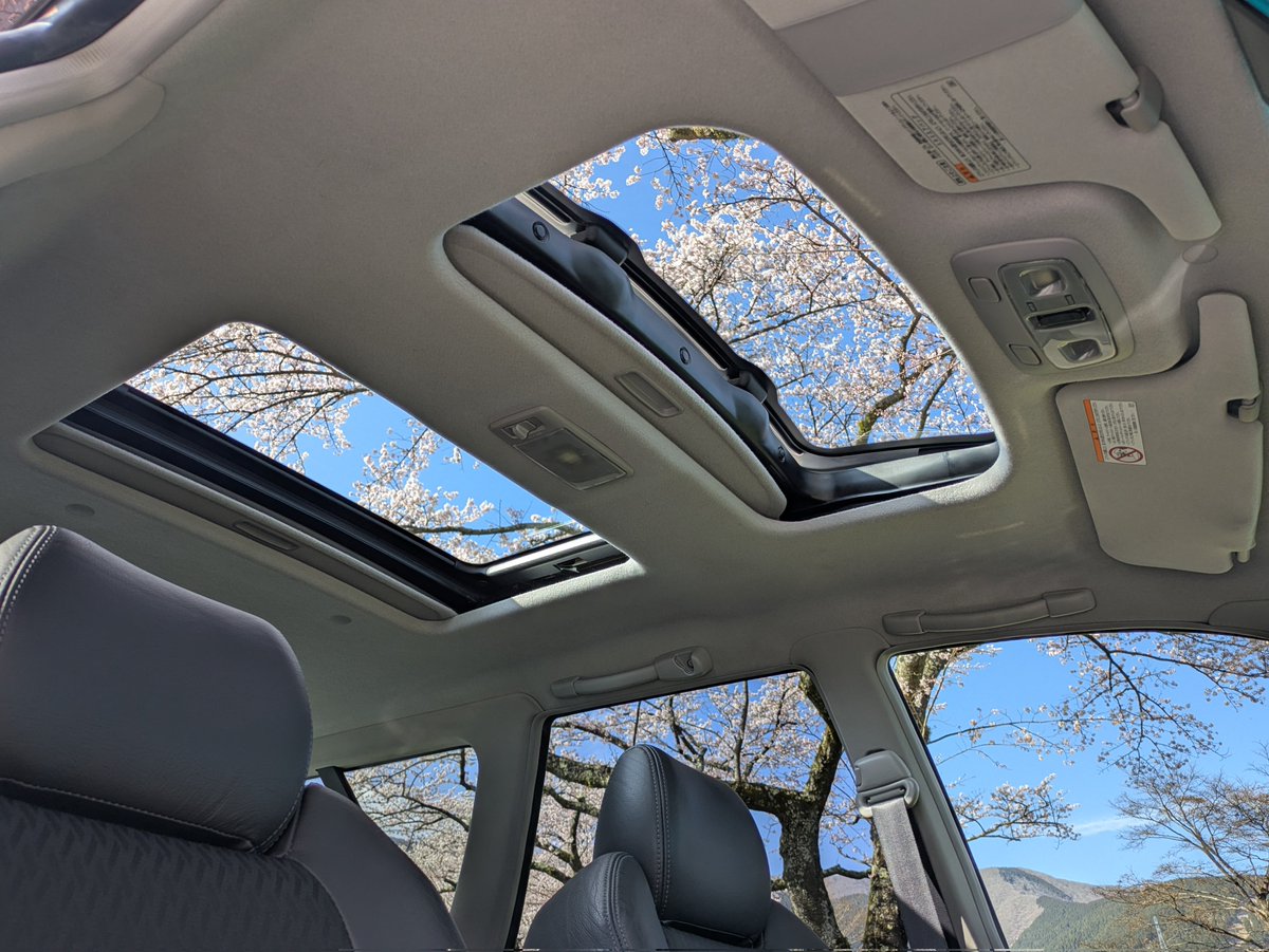 yuuki0825 tweet media