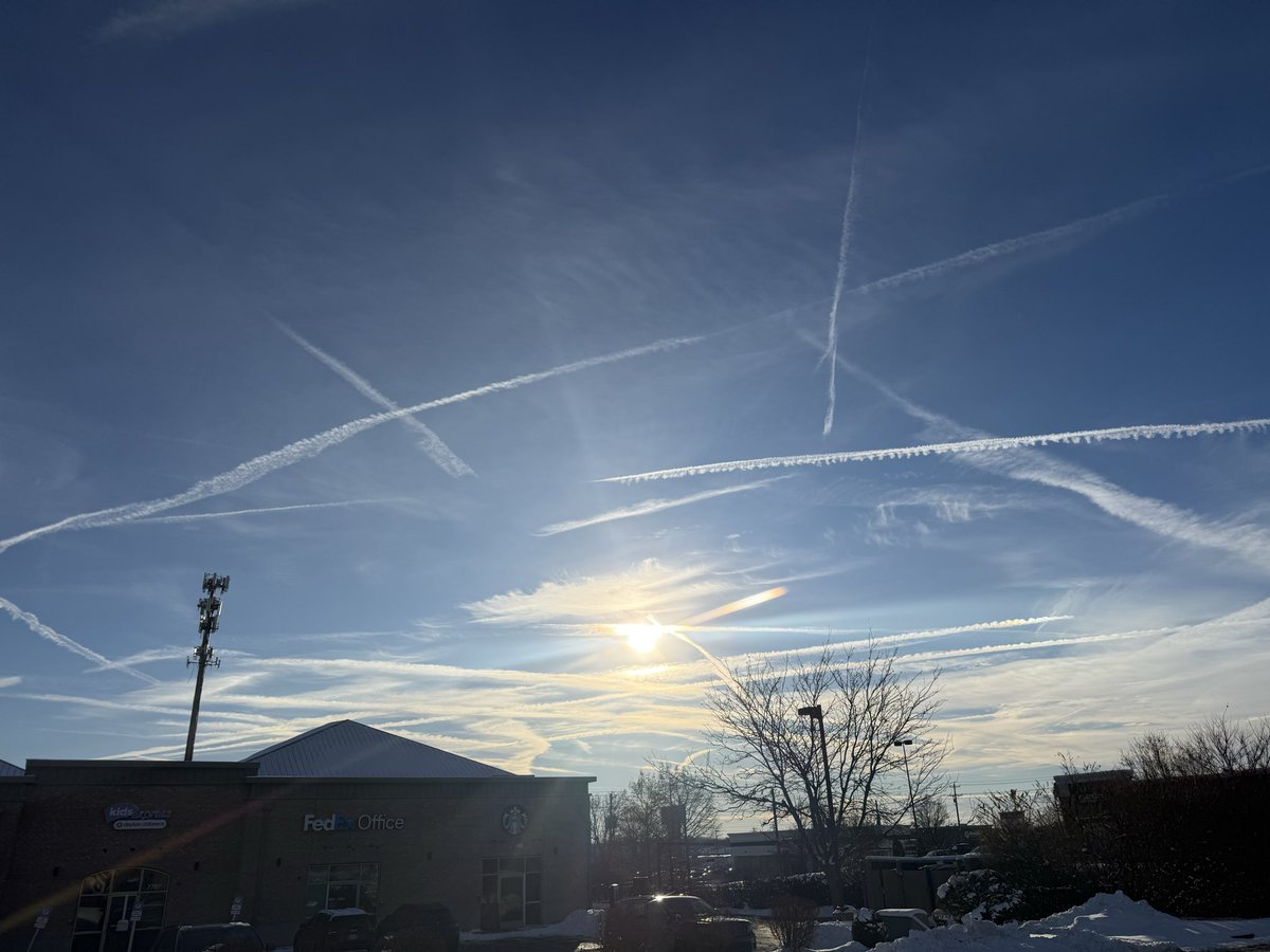 Amber Potis tweet media