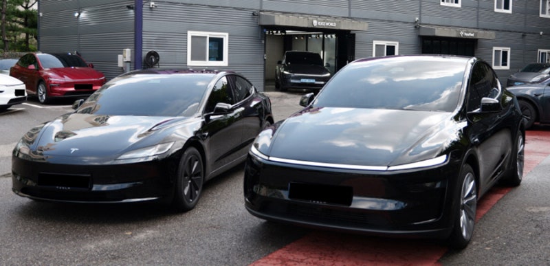 리치품은 물범 ❤️ tweet media