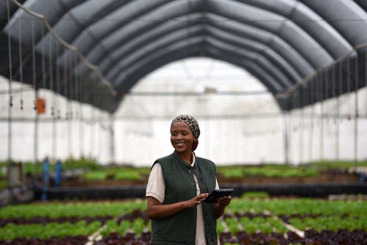 WorldBankAfrica's tweet photo. "The beauty of agriculture is that we all speak the same language." - @Gugulethu_CM

What began as a way to connect is now #FarmSpaces: a digital community where farmers across Africa share tips, experiences &amp; best practices. Learn more: https://t.co/szumRzA0Kj https://t.co/tsPOAHWz4P
