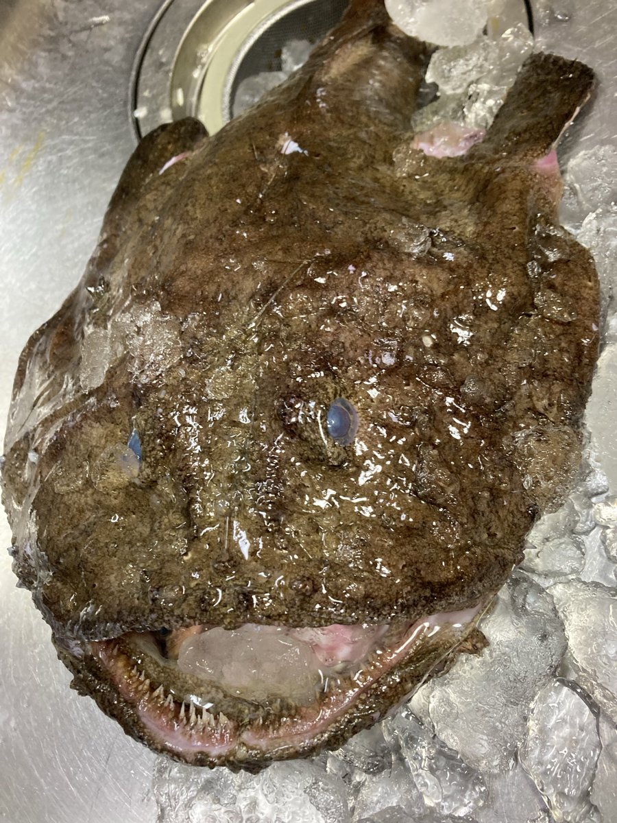 怪人四十面相 tweet media