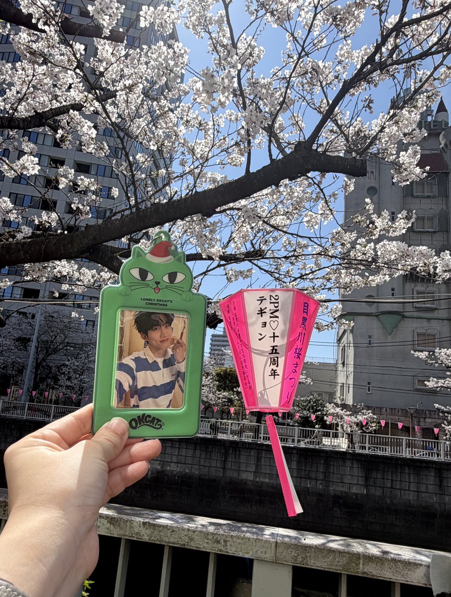 미나미😼💚 tweet media