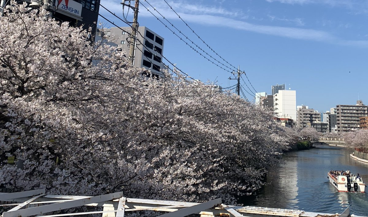 Heavyjavelin：ヘビージャヴェリン tweet media