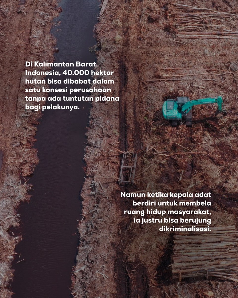 Sumatera Adil & Federal tweet media