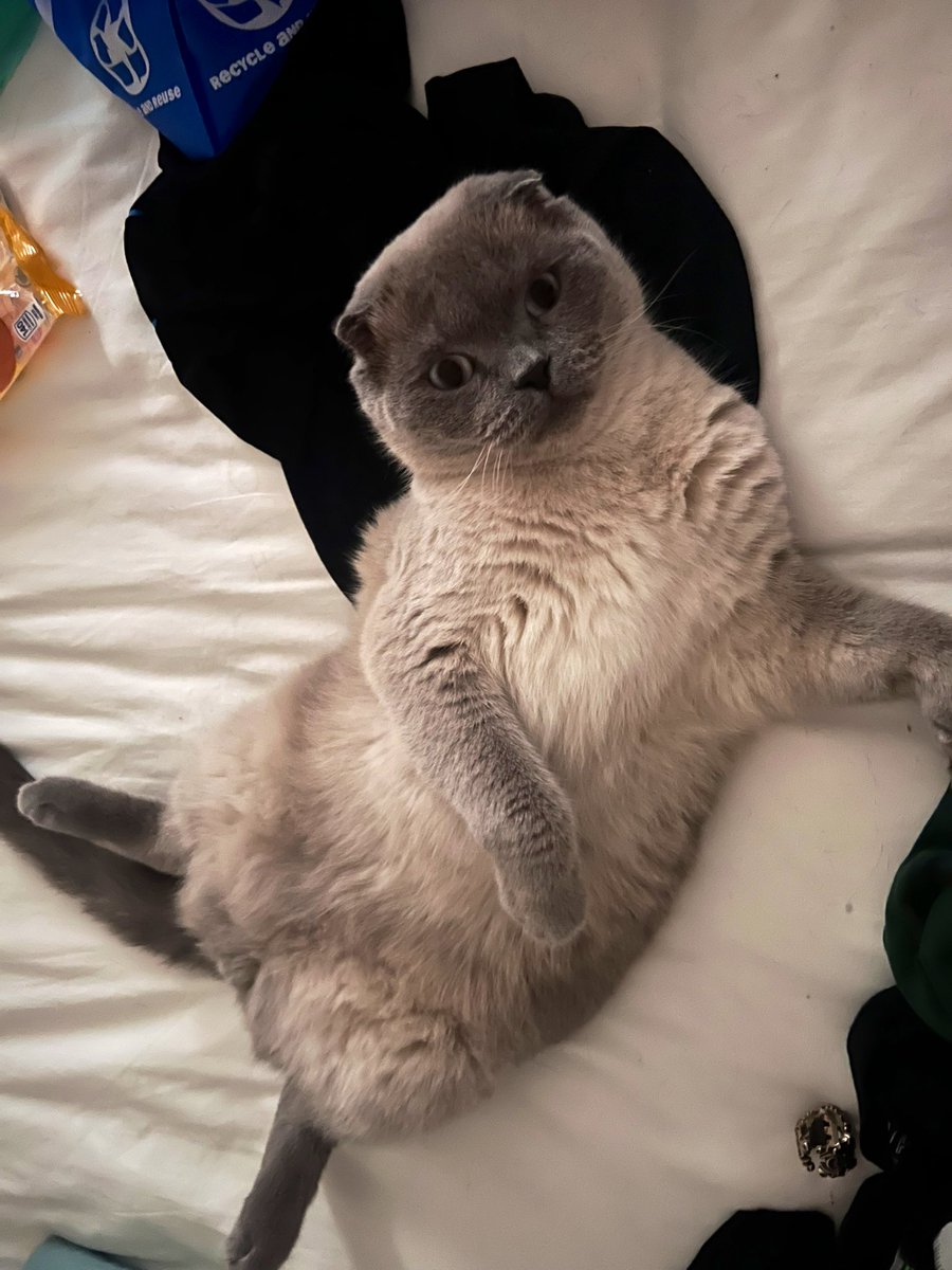 Ara (Genuine Chiller) tweet media