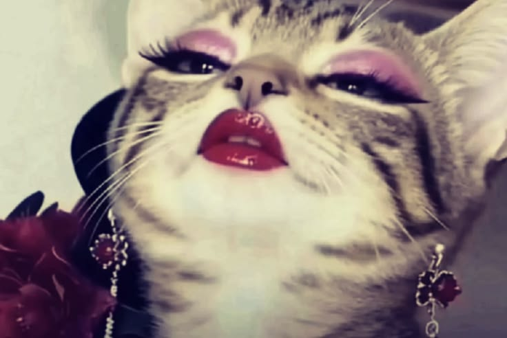 isaa .ᐟ tweet media