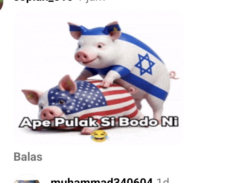 Muhammad Razi tweet media