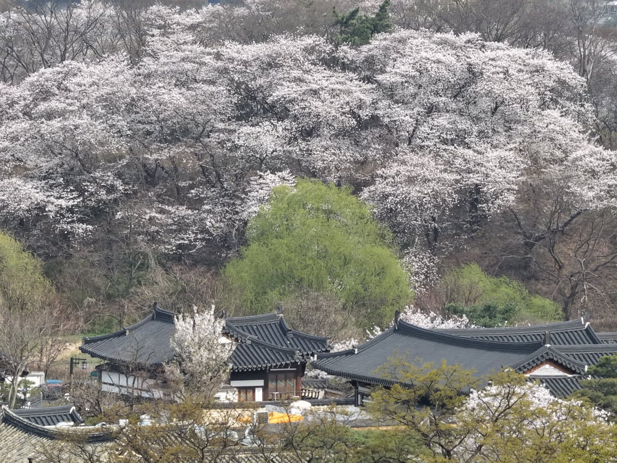 백🎗 tweet media