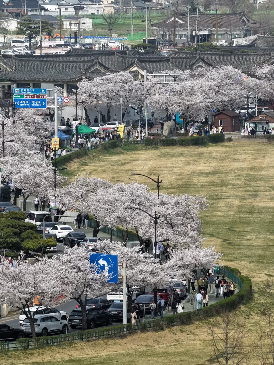 백🎗 tweet media