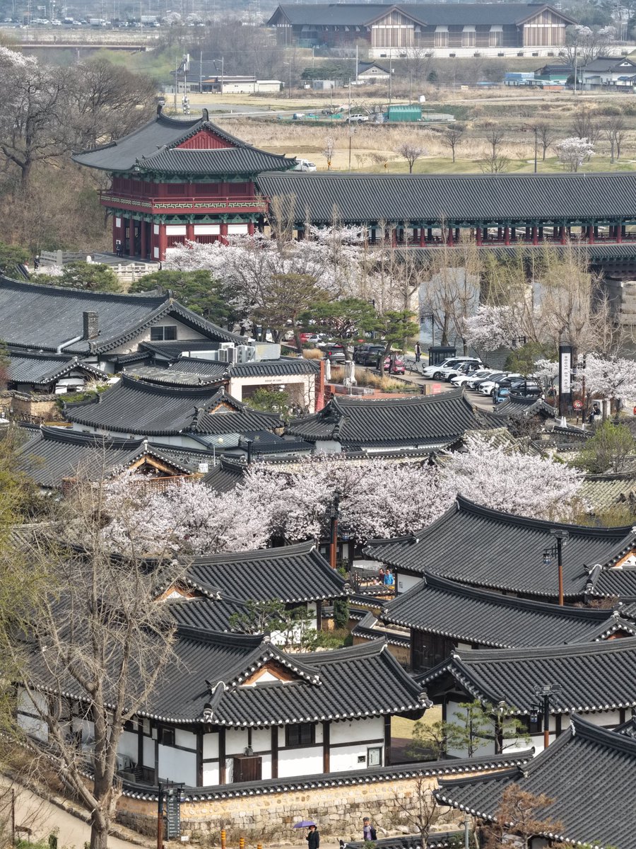 백🎗 tweet media