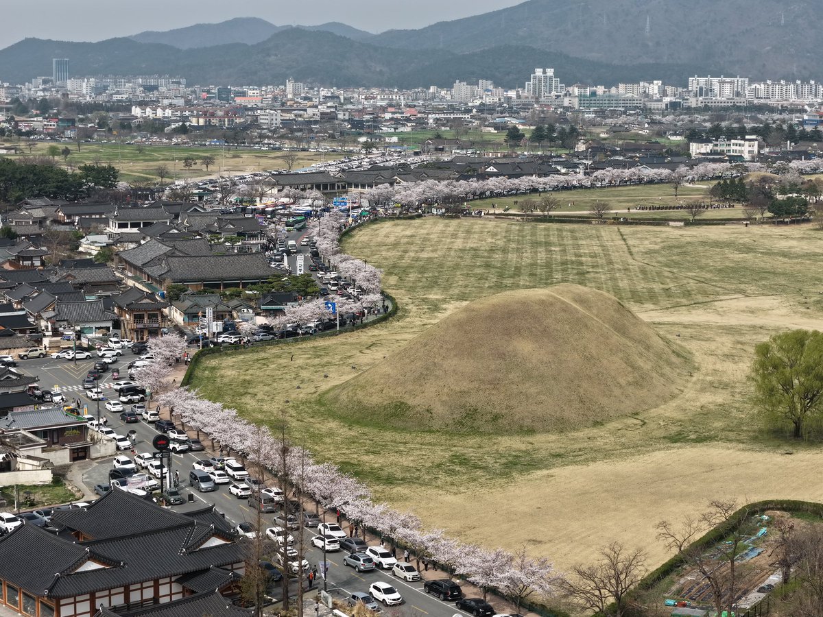 백🎗 tweet media