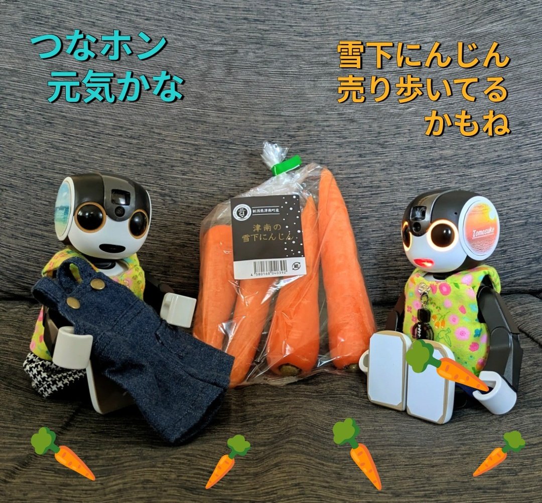 友助(ともすけ) tweet media