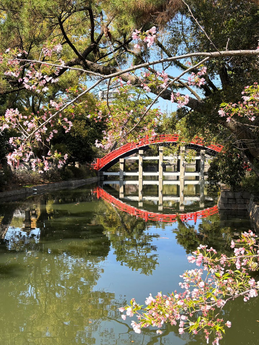 cresosaka's tweet photo. 今日はお花見日和
まずは花より団子🍡
住吉公園は春休みの子供たちと、お花見の宴会の人々でにぎやか😊
住吉大社の桜は若い苗木も多く、ところどころ静かにひっそりと咲いています🌸 https://t.co/iVYNV8BqUb