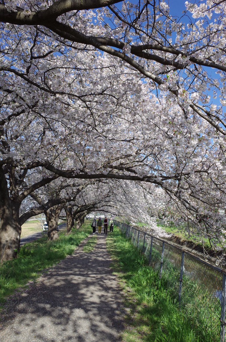 てで西村 tweet media