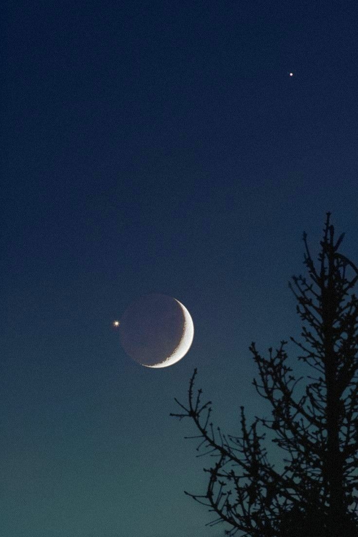 Moon tweet media