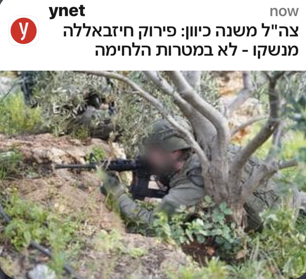 yael shalgi tweet media