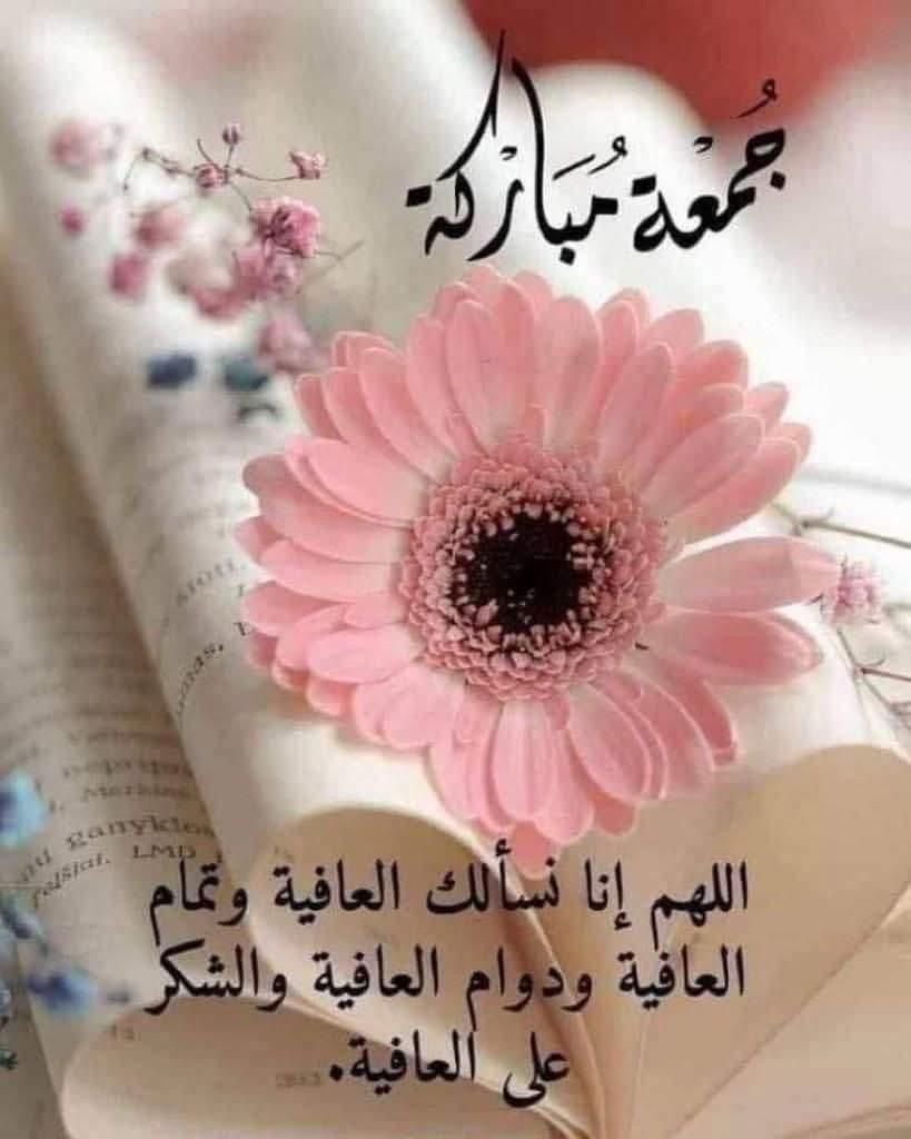 mohamadsayyour tweet media