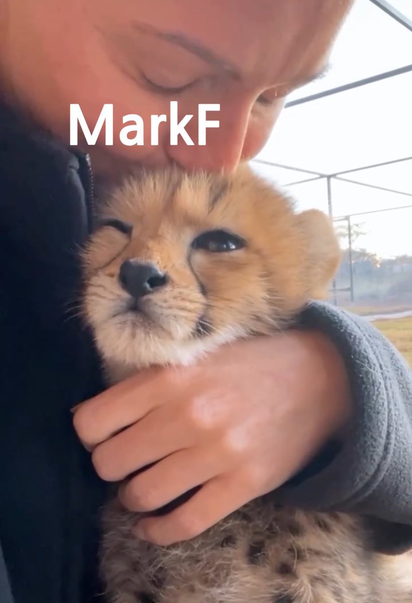 mer , cms dm tweet media