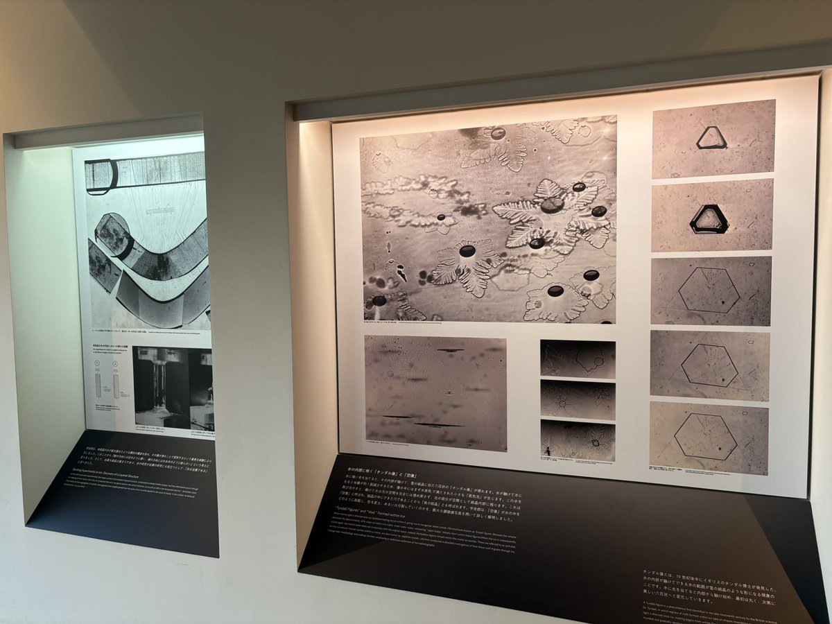 中谷宇吉郎雪の科学館 tweet media